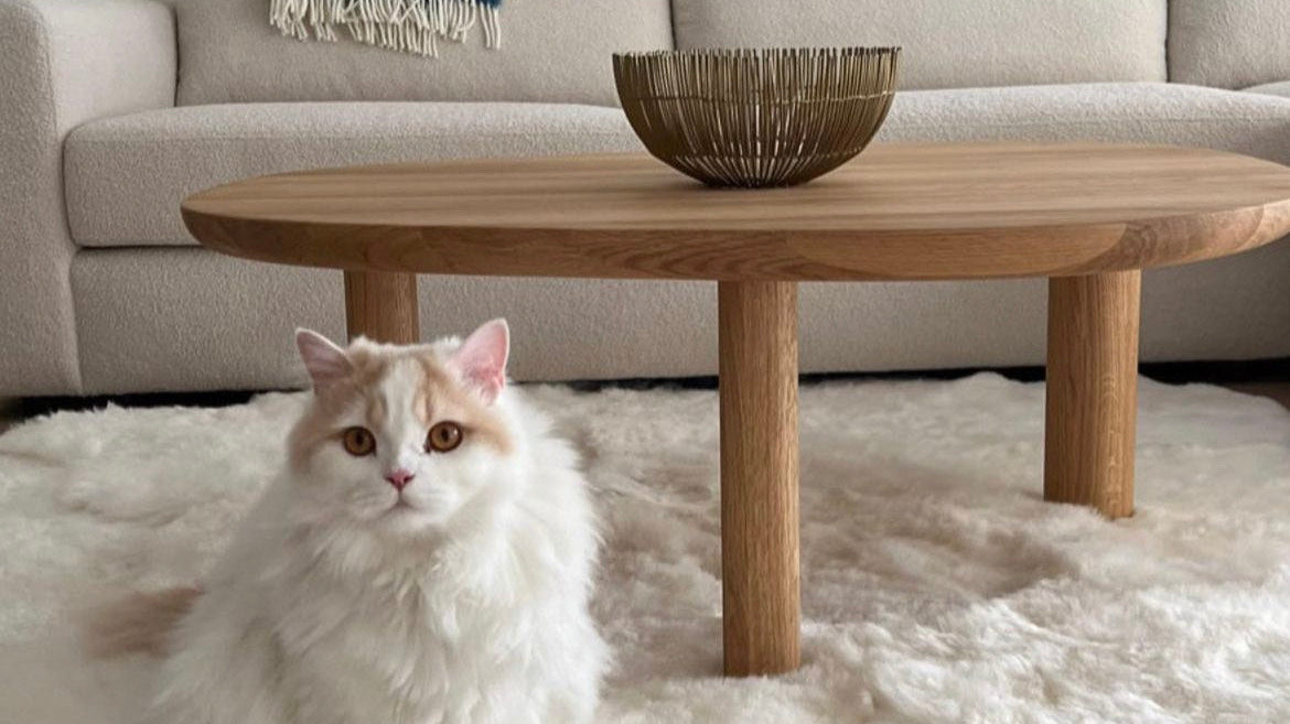 Onderthoudstips voor onze schapen tapijten