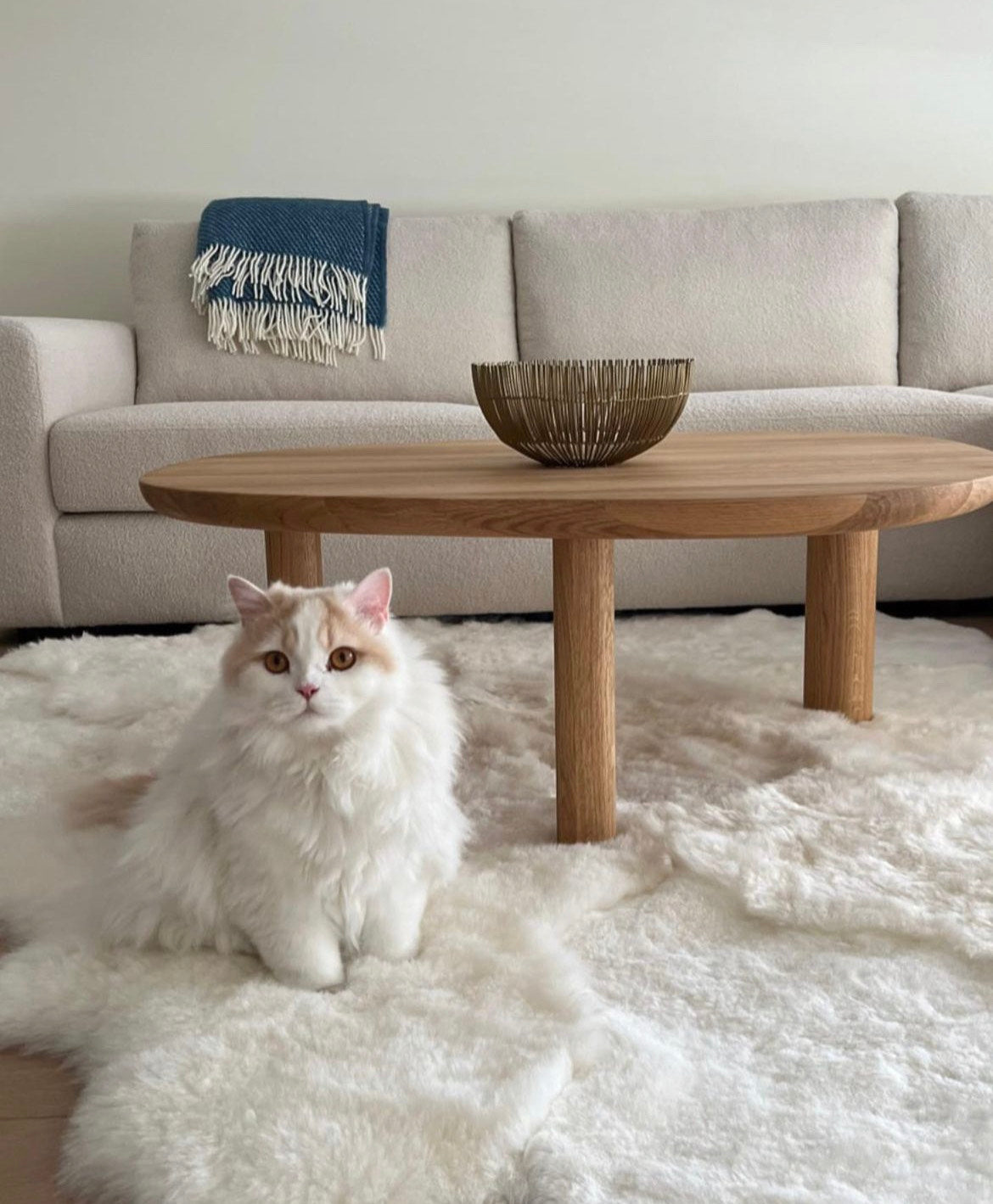 Onderthoudstips voor onze schapen tapijten