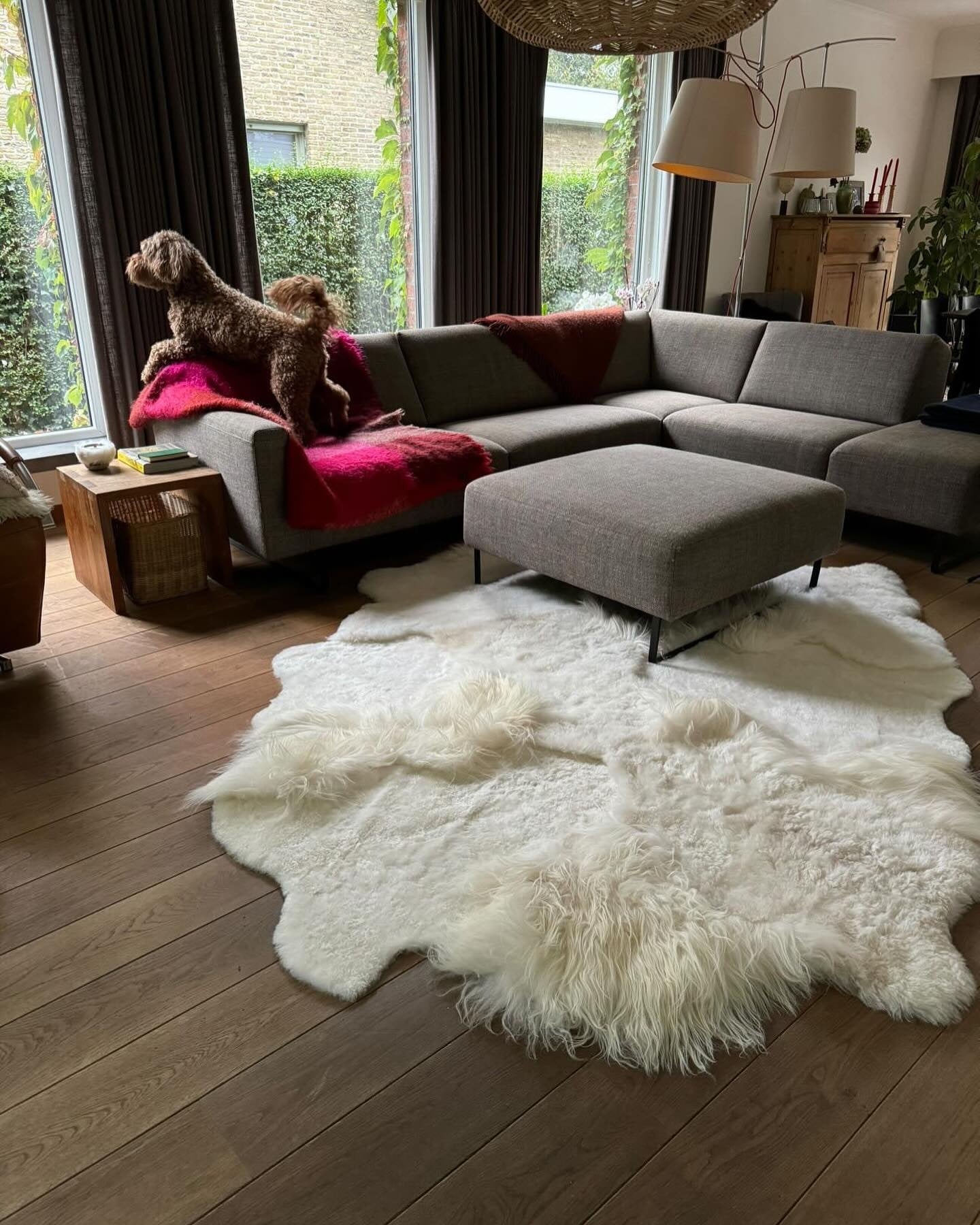 Wit schapenvacht patchwork tapijt bij een grijze hoekzetel met een hond