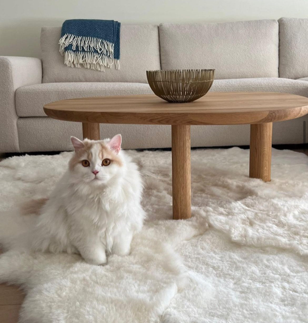 off white tapijt gemaakt uit IJslandse schapenvachten welke door Monroe life aan elkaar worden genaaid in ons ervaren atelier zodat een prachtig tapijt ontstaat